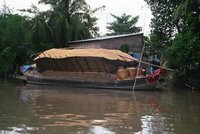 Unshelled Rice Ready For Transport (Mekong River)