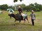 A Golfer Riding The Golf Tournament Caribou/Water Buffalo, #2