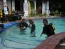 Matt Teaching Tim and Craig How To Scuba Dive, #3