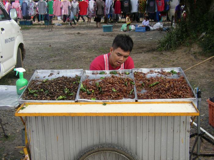 Farmer's Market -- Got Bugs?