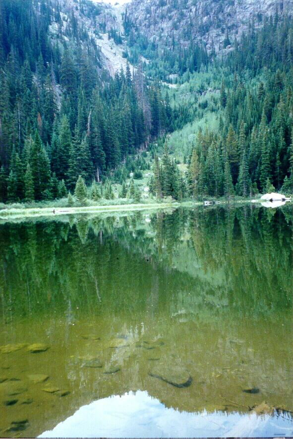 A Reflection Of The Avalanche Area