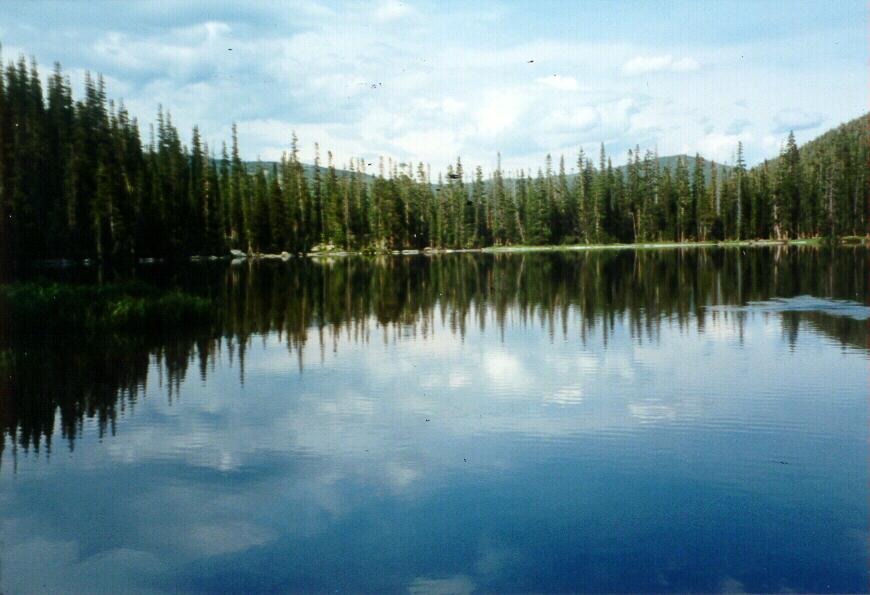 A Rising Fish Disturbs The Calm