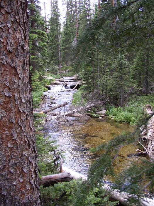 The Creek Behind The Lake