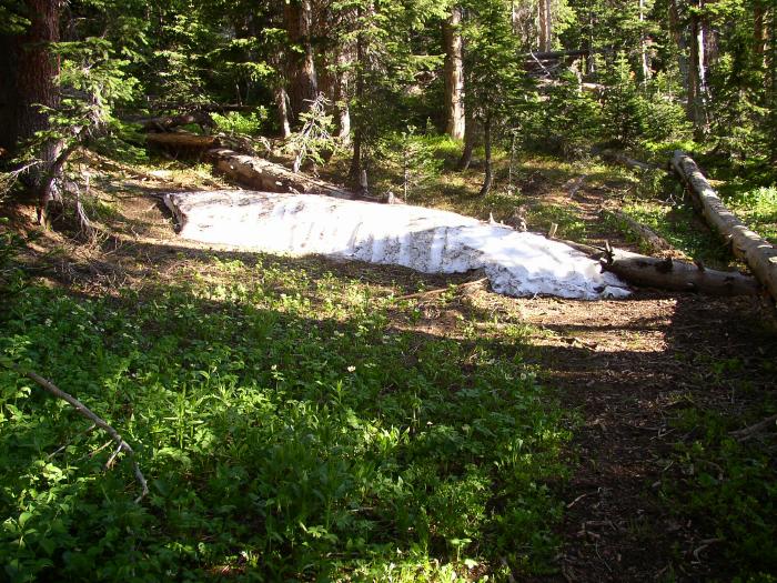 A 12-Foot Snow Bank Near The Lake, #1