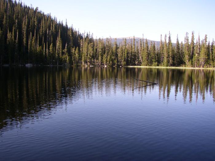 A Reflection Looking North