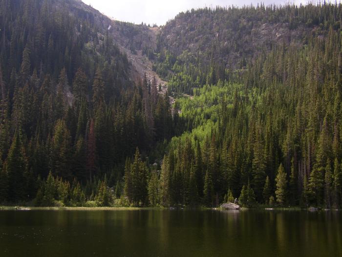 The "Avalanche Area" During The Late Afternoon