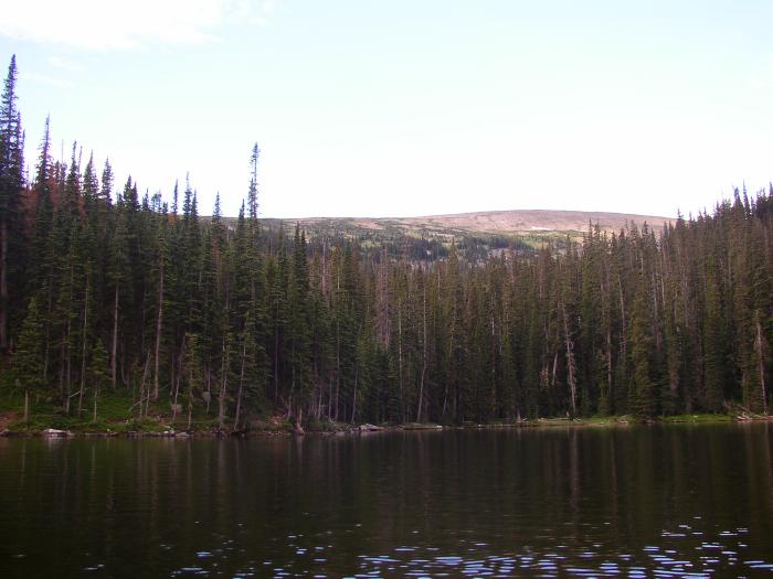 The Snow Field, Without Snow