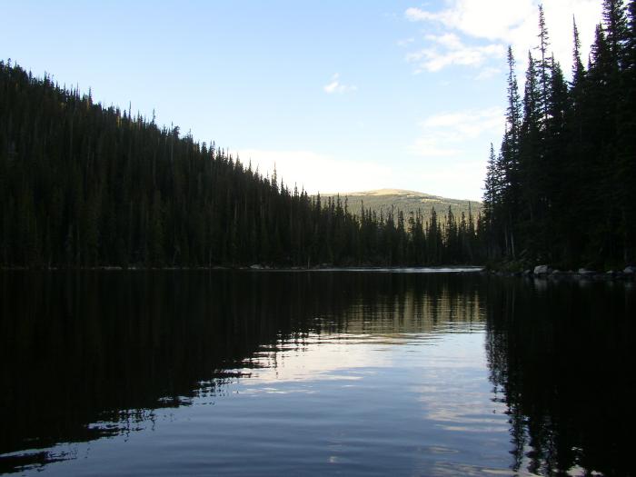 A Distant Mountain With A Treeline Around Sunset