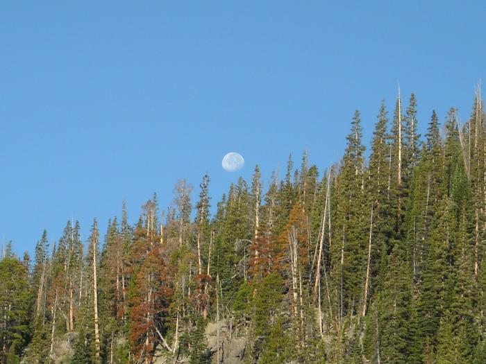 Moon Over The Glacier