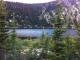 Some Dead Lodgepole Pines On The Other Side