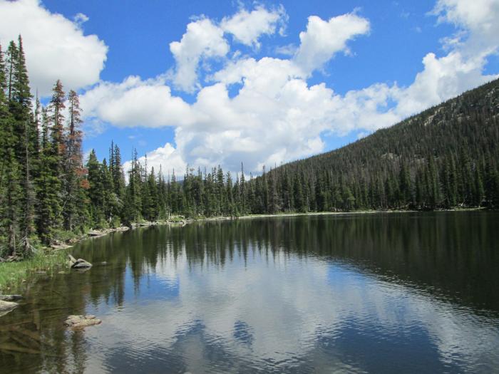 Looking East Across The Lake