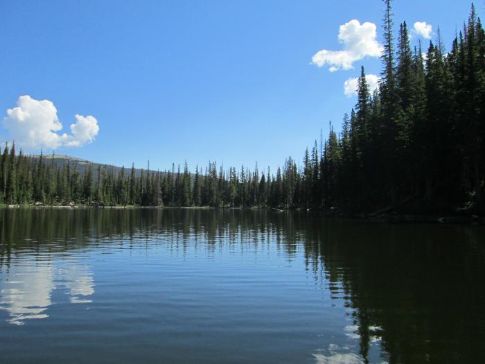 Looking North Across The Lake