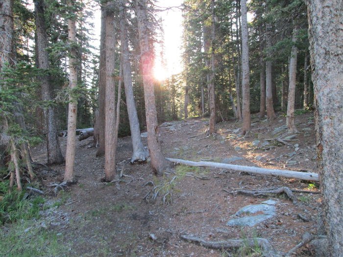 Looking Back At The Entrance To The Lake