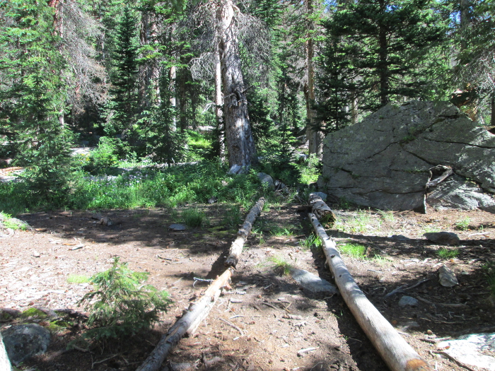 Pathway Through The Old Campsite