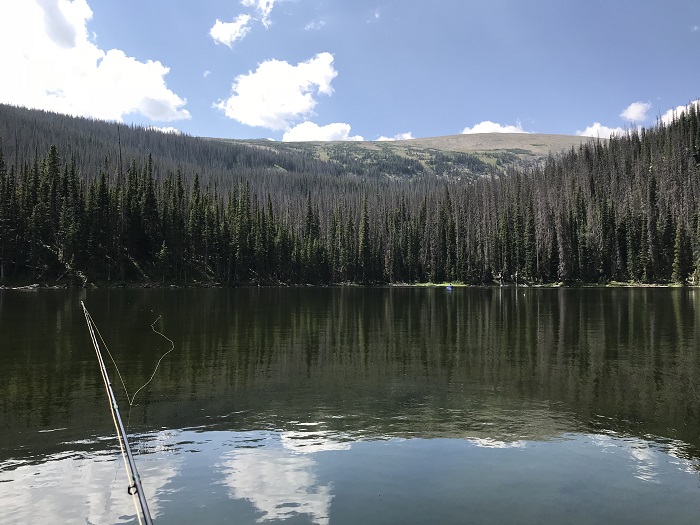 Fishing Towards the Snow Field