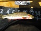 A 12-inch Cutthroat