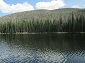 Pine Beetle Devastation on the Nearby Mountainside