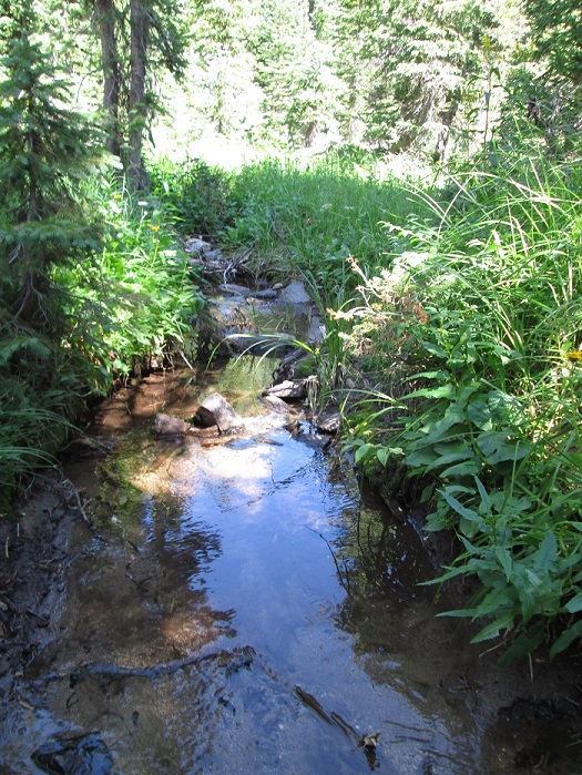 The Creek Feeding Into The Lake