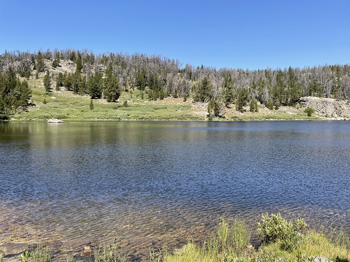 Upper Sweeney Lake #3