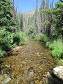 The Creek Above the Reservoir