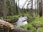 The Creek