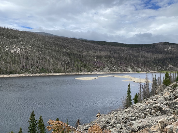 Reservoir and Burned Trees
