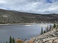 Reservoir and Burned Trees