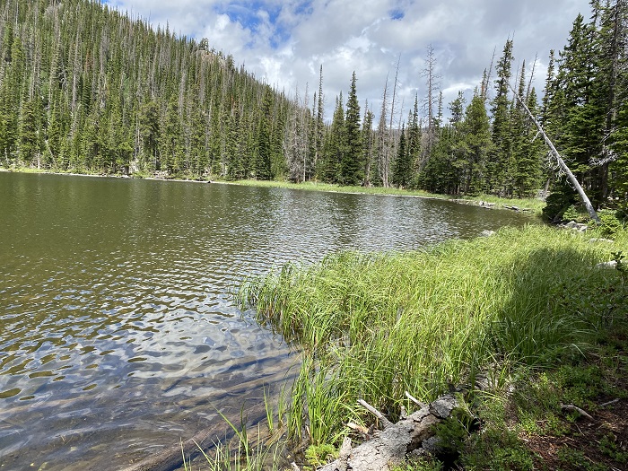 The Lake and Eastern Weedbed