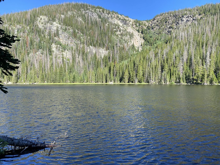 The Lake During One Morning