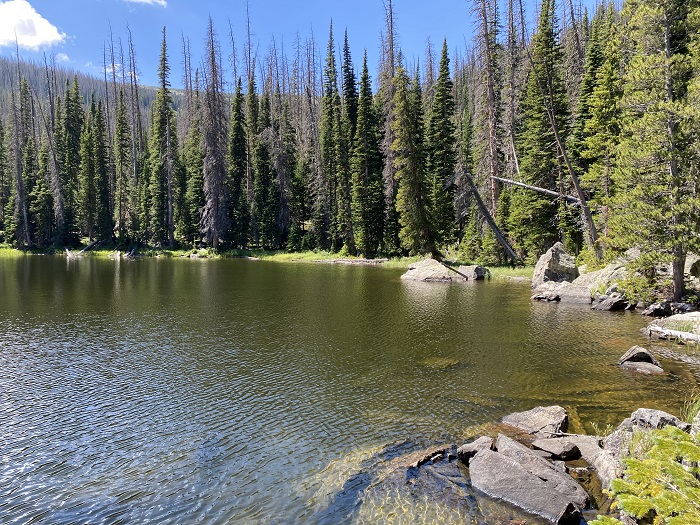 The Lake Looking South