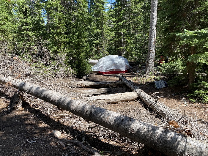My Campsite