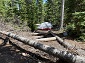 My Campsite