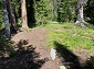 The Old Campsite