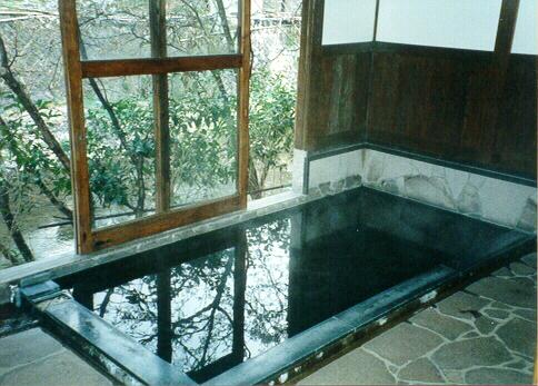 Hot Springs Bath