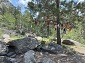Indian Prayer Ribbons