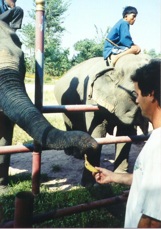 The Elephant Tour -- Craig Feeding One