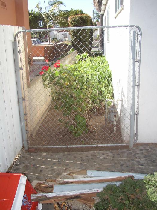 The Geraniums Have Been Trimmed