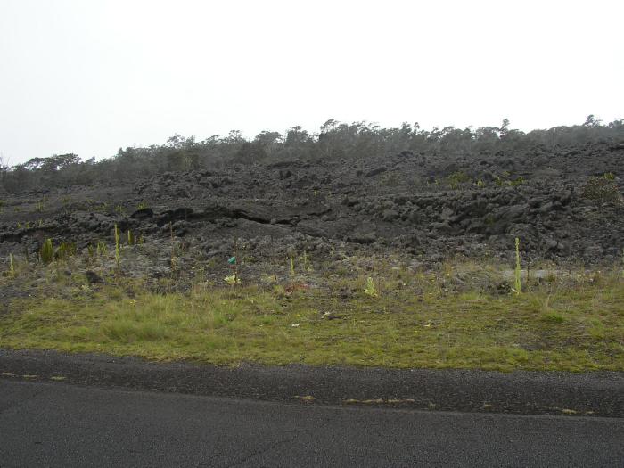 A Lava Field