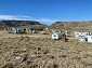 Longtime Campers