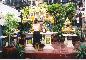 Girls Cleaning Up a Shrine (Pattaya)